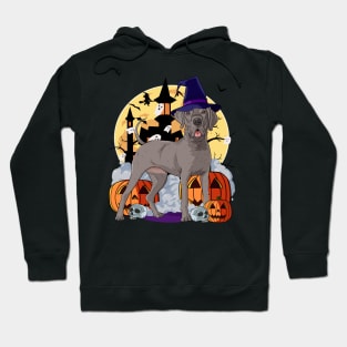 Great Dane Scary Halloween Witch Pumpkin Hoodie